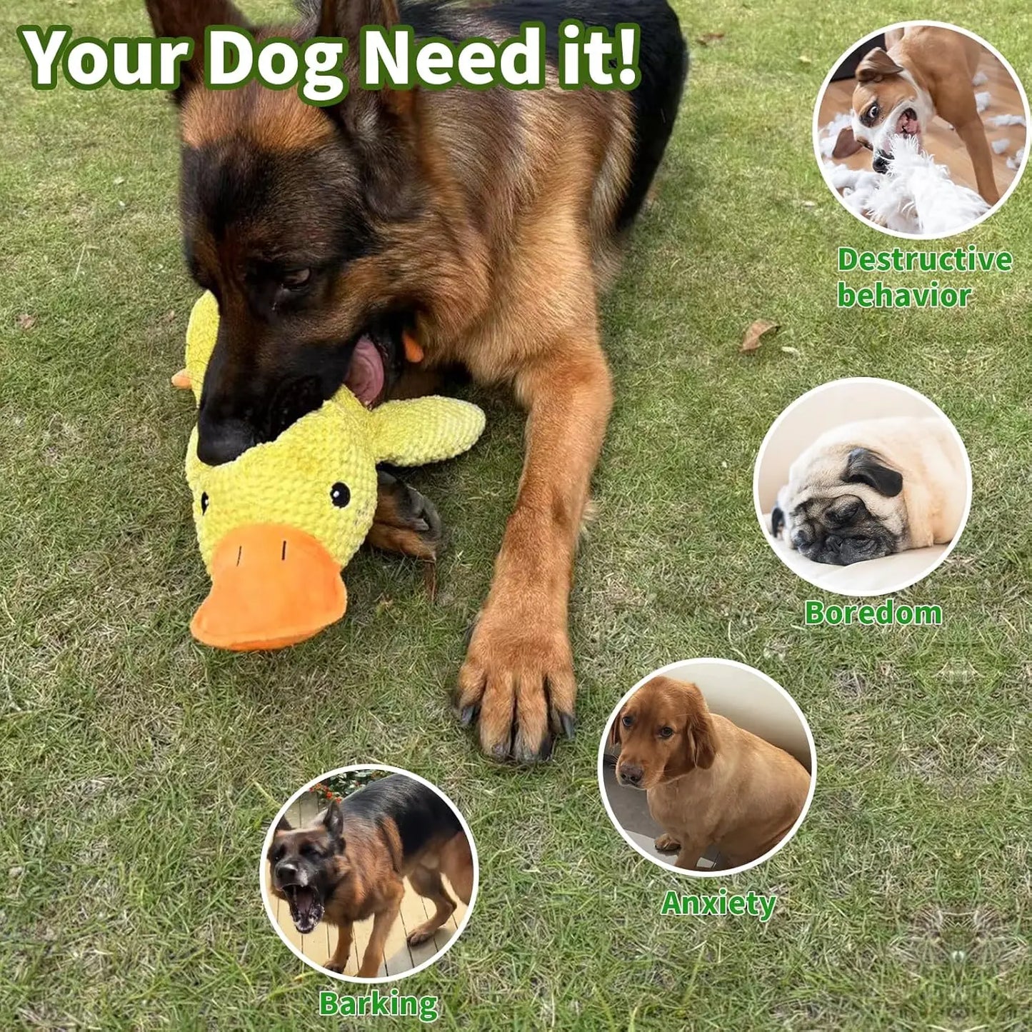 Jouet Canard en Peluche pour Chien – Peluche Résistante aux Morsures avec Nettoyage des Dents et Effet Sonore