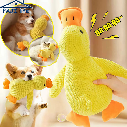 Jouet Canard en Peluche pour Chien – Peluche Résistante aux Morsures avec Nettoyage des Dents et Effet Sonore