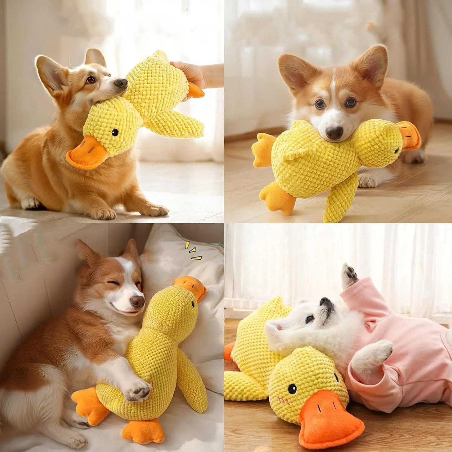 Jouet Canard en Peluche pour Chien – Peluche Résistante aux Morsures avec Nettoyage des Dents et Effet Sonore