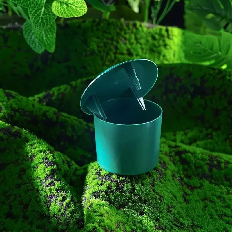 Piège à Escargots et Limaces Écologique – Cage de Protection en Plastique pour Potager, Légumes et Fleurs