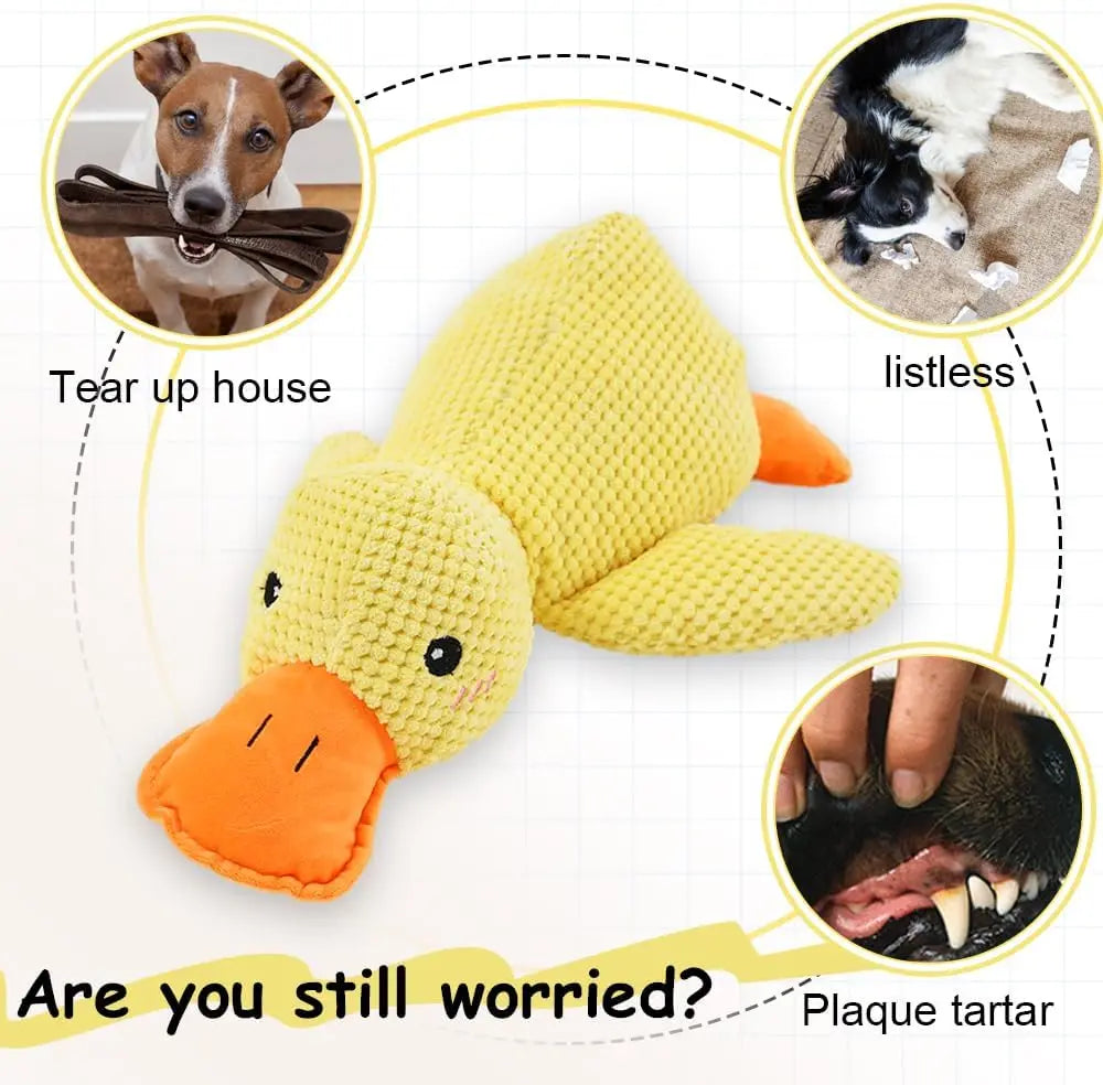Jouet Canard en Peluche pour Chien – Peluche Résistante aux Morsures avec Nettoyage des Dents et Effet Sonore